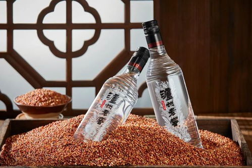 老窖熱與光瓶熱 白酒零售市場的消費(fèi)新趨勢解析